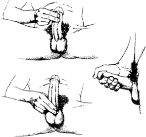Masturbación y masaje para agrandar el pene.